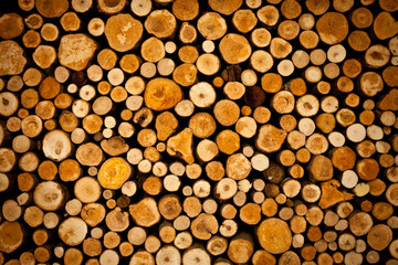 Pile of wood