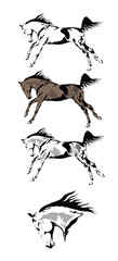 vector drawing horses in a variety of