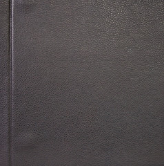 leather texture