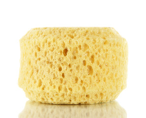 Sponges and sea sponge isolated on white