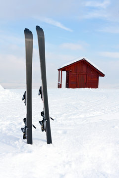 ski in snow