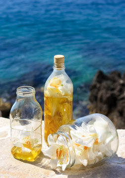 Madonna-Lily-Oil  #1