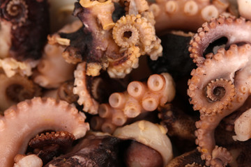 tentacles of octopus, macro