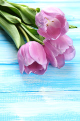 Beautiful bouquet of purple tulips on blue wooden background