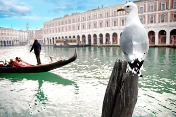 Acrylic prints Gondolas gondola with gondolier