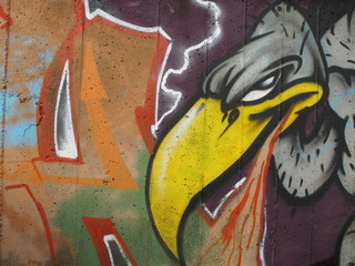 Vulture graffiti on a wall