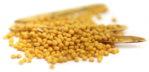 Fresh golden mustard