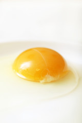 生卵