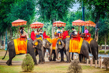 The tourist have fun with ride on the elephant