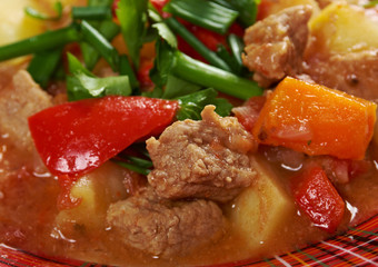 l Hungarian hot goulash soup