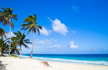 Obraz premium tropikalna plaża