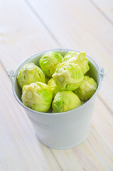 brussel cabbage