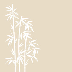 White Bamboo Beige Background