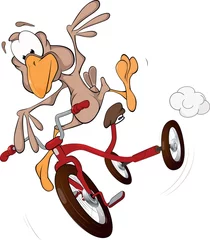 Gordijnen The ridiculous baby bird goes on a bicycle © liusa
