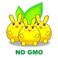 Obraz na płótnie Canvas No GMO-orange rabbit