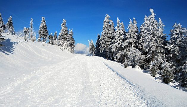 winter near Lysa hora in Moravskoslezske Beskydy Mts.