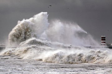 Obraz premium Big Waves
