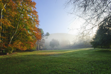 Naklejka premium Niebla mañanera