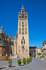 Fototapeta na wymiar Katedra Najświętszej Marii Panny w Sewilli w Hiszpanii.