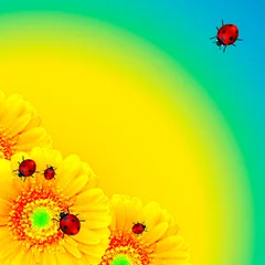 Poster bloem met lieveheersbeestjes lente achtergrond © Aleksandra Gigowska