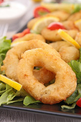 squid rings