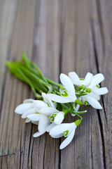 snowdrops on wooden surface
