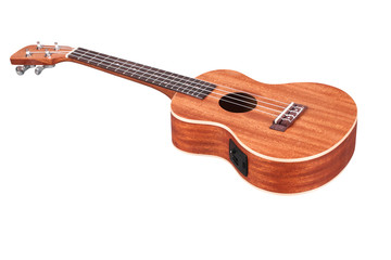 Fototapeta premium hawaiian guitar