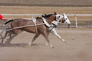 chariot racing
