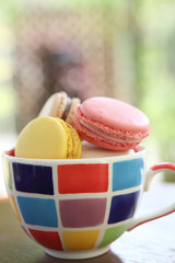Macaron on cup