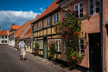 old houses in street.