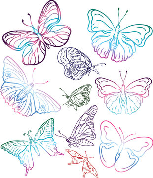 colorful butterflies silhouttes