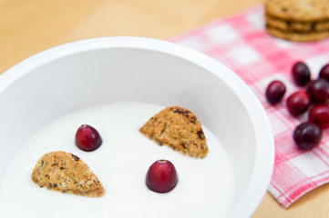 Breakfast containing yogurt, cereal biscuits and cranberries
