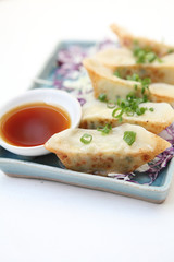 gyoza