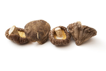 Shitake mushroom