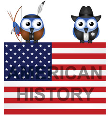 American History Flag