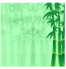 Fototapeta na wymiar pędy bambusa na zielonym tle