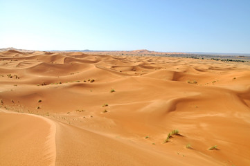 Fototapeta na wymiar Krajobraz Sahara