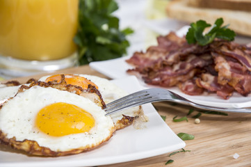 Fried Egg with a portion of Bacon