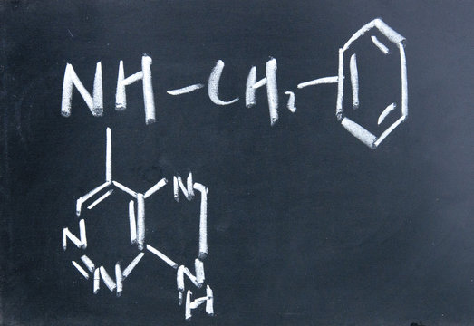 cytokinin chemical structure written with chalk on blackboard