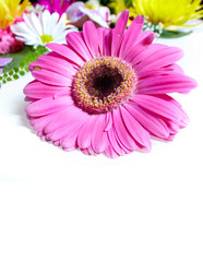 Floral greeting card with beautiful flowers.