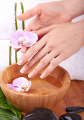 Woman's hands with orhids