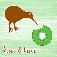 Kiwi bird
