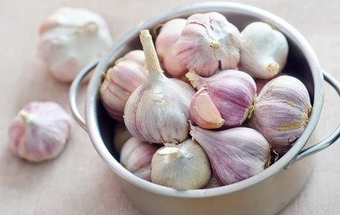 garlic in metal bowl on the table