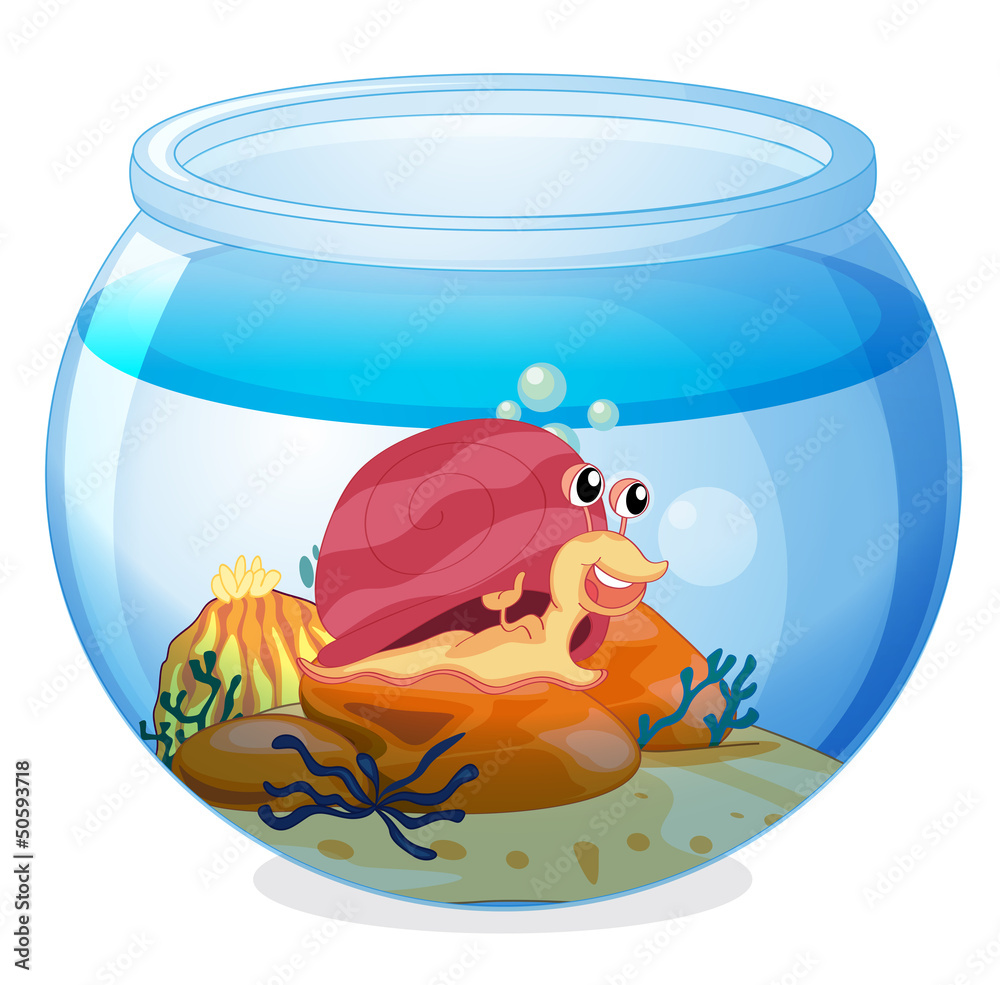 Poster A snail inside an aquarium