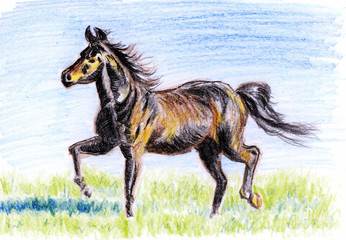 Fototapeta na wymiar crayon illustration,Horses on the prairie