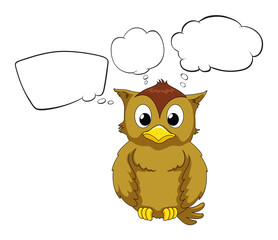 A thinking owl