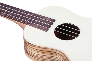 Obraz premium hawaiian guitar