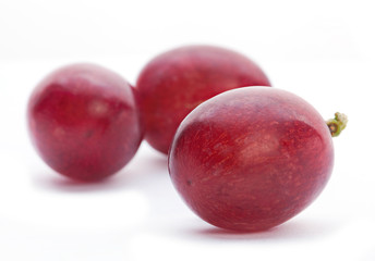 Grape berry closeup