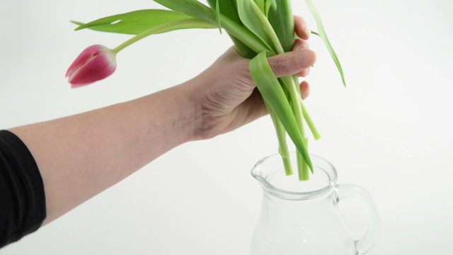 Pink Tulip bouquet is placed in a carafe.