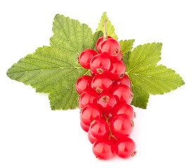 Red currants and green leaves still life
